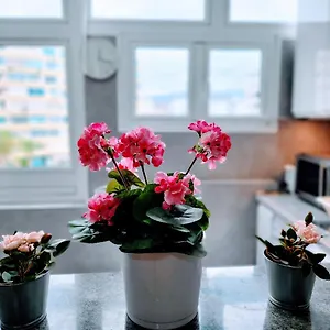  Apartamento Paradise In Maspalomas